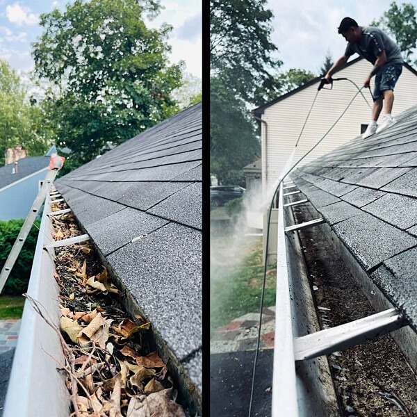 Gutter Cleaning Project Image